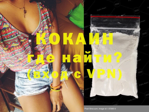 крисы Алзамай
